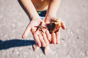 JW Marriott Marco Island Beach Resort