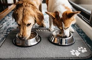 The Westin Bayshore, Vancouver