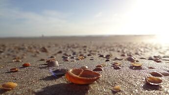 DoubleTree by Hilton Hotel St. Augustine Historic District