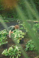 Le Manoir aux Quat'Saisons, A Belmond Hotel, Oxfordshire
