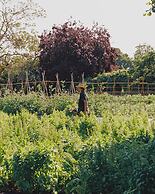 Le Manoir aux Quat'Saisons, A Belmond Hotel, Oxfordshire
