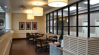 Holiday Inn Houston S - Nrg Area - Medical Center by IHG