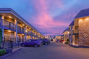 Best Western Plus Burnaby Hotel