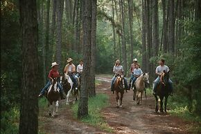 The Cabins at Disney's Fort Wilderness Resort