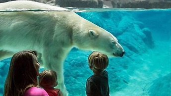 Quality Inn Asheboro South