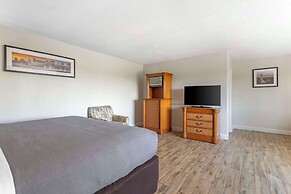 Quality Inn & Suites St Augustine Beach Area