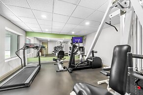 Spark by Hilton Lockport
