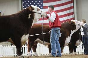 Hampton Inn Harrisburg-East (Hershey Area)
