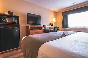 Quality Inn and Suites