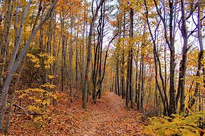 Holiday Inn Roanoke-Tanglewood-Rt 419&i581 by IHG