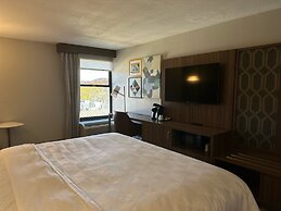 Holiday Inn Roanoke-Tanglewood-Rt 419&i581 by IHG