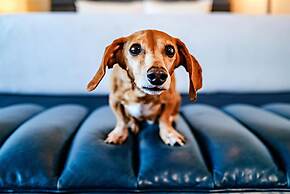ANDAZ WEST HOLLYWOOD, BY HYATT