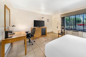 Best Western Pine Tree Motel