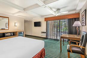 Best Western Pine Tree Motel