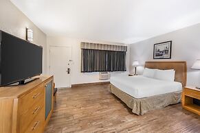 Best Western Pine Tree Motel