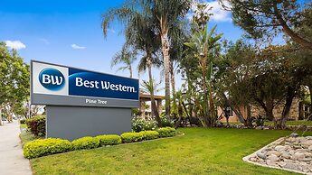 Best Western Pine Tree Motel