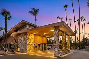 Best Western Pine Tree Motel
