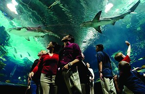 Holiday Inn Cincinnati-Riverfront by IHG