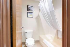 Comfort Inn Lexington