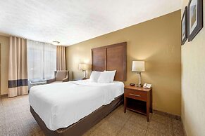 Comfort Inn Lexington