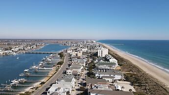 Trailborn Surf & Sound