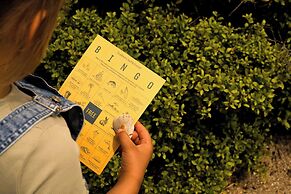 Trailborn Surf & Sound