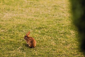 Trailborn Surf & Sound