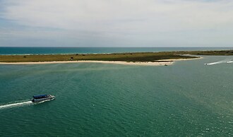 Trailborn Surf & Sound