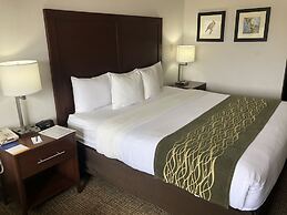 Comfort Inn Grand Island North