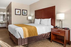 Comfort Inn Grand Island North