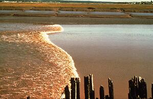 Crowne Plaza Moncton-Downtown by IHG