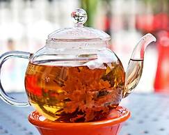 Wyndham Boca Raton Hotel