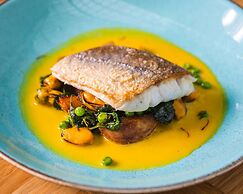 Hyatt Regency Birmingham