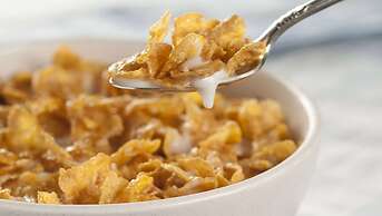 Executive Inn & Suites