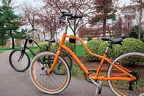 Marriott Lexington Griffin Gate Golf Resort & Spa