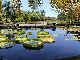 Naples Grande Beach Resort