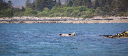 Parknasilla Resort and Spa