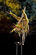 Treasure Island - TI Las Vegas Hotel & Casino