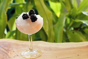 Kimpton Surfcomber Hotel by IHG