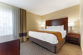 Comfort Inn Ebensburg