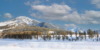 Flying Saddle Resort