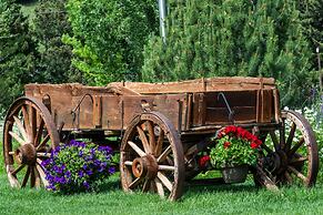 Flying Saddle Resort