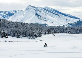 Flying Saddle Resort