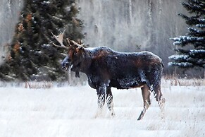 Flying Saddle Resort