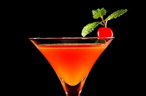 Hotel New Otani Tokyo The Main