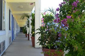 Americas Best Value Inn Bradenton Sarasota