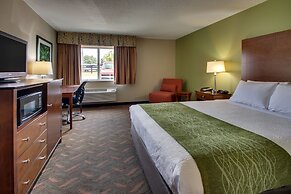 Wingfield Inn and Suites