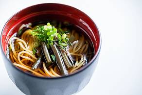 ANA Crowne Plaza Matsuyama by IHG