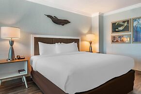 Dolphin Sands Clearwater Beach, an Ascend Collection Hotel