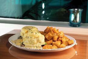 Winter the Dolphins Beach Club, Ascend Hotel Collection